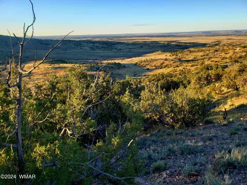 114 County Rd, Concho Valley, AZ 85924