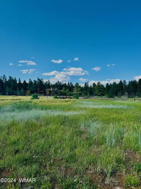 9580 Sierra Springs Dr, Pinetop, AZ 85935