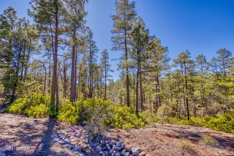 2170 S Pleasant View Dr, Show Low, AZ 85901