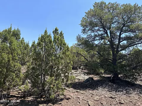 lot75 N Dolly Dr, Vernon, AZ 85940