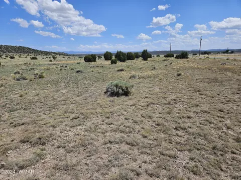 tbd 8500 Mesa Redondo Ranch Rd, Concho, AZ 85924