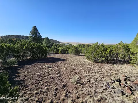 tbd Snowline Dr, Eagar, AZ 85925 photo 2