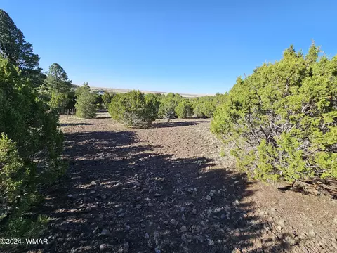 tbd Snowline Dr, Eagar, AZ 85925 photo 4