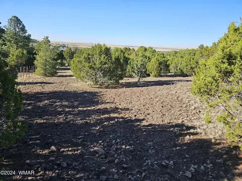 tbd Snowline Dr, Eagar, AZ 85925 photo 3
