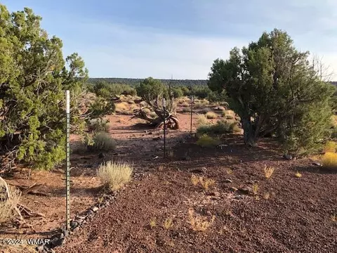 3875 Apache Rd, Snowflake, AZ 85937 photo 1