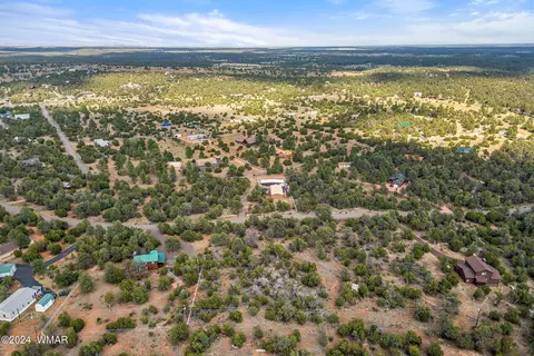 3356 Apache Dr, Overgaard, AZ 85933 photo 7