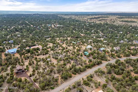 3356 Apache Dr, Overgaard, AZ 85933 photo 9