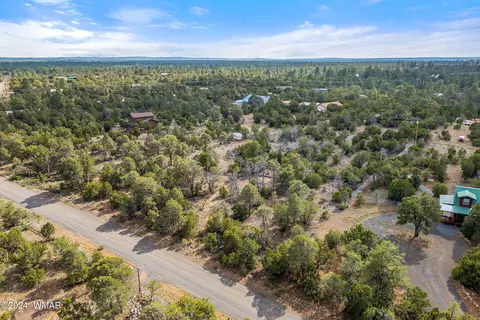3356 Apache Dr, Overgaard, AZ 85933 photo 2