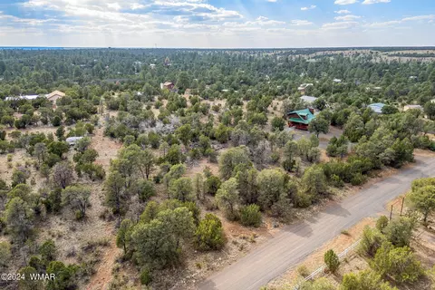 3356 Apache Dr, Overgaard, AZ 85933 photo 3
