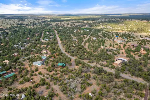 3356 Apache Dr, Overgaard, AZ 85933 photo 8