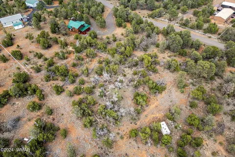 3356 Apache Dr, Overgaard, AZ 85933 photo 12