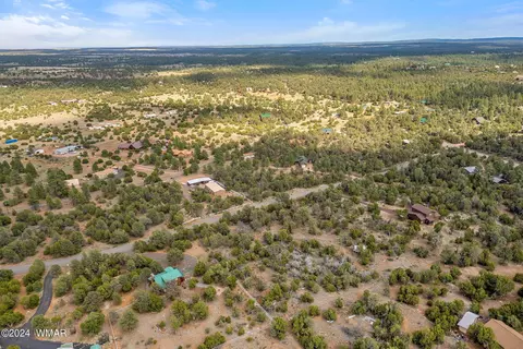 3356 Apache Dr, Overgaard, AZ 85933 photo 6