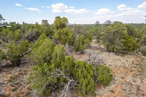 3356 Apache Dr, Overgaard, AZ 85933 photo 15