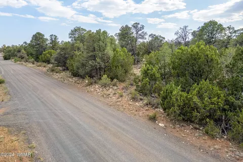 3356 Apache Dr, Overgaard, AZ 85933 photo 14