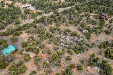 3356 Apache Dr, Overgaard, AZ 85933 photo 11