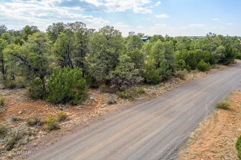 3356 Apache Dr, Overgaard, AZ 85933 photo 13