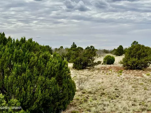 Show Low Pines Unit 10 Lots 205 & 206, Concho, AZ 85924