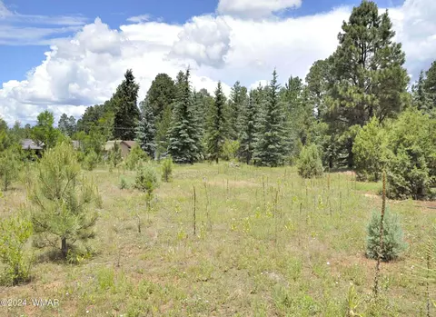 35 Rosemarie Ct # T, Pinetop, AZ 85935