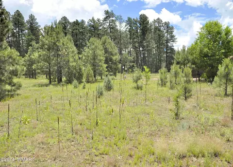 35 Rosemarie Ct # V, Pinetop, AZ 85935