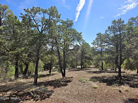 827 County Road 3145, Vernon, AZ 85940