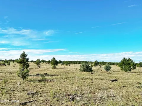 2263 Old Crooks Trl, Overgaard, AZ 85933 photo 6