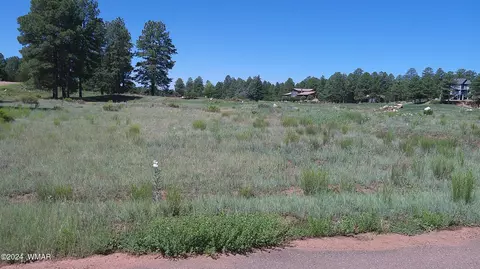2271 Green Cove Dr, Overgaard, AZ 85928