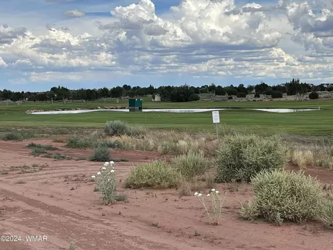 3 S 99 Acres S Porter Dr, Snowflake, AZ 85937