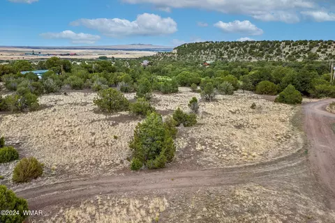 0 Hwy 261 357 Acres, Eagar, AZ 85925 photo 11