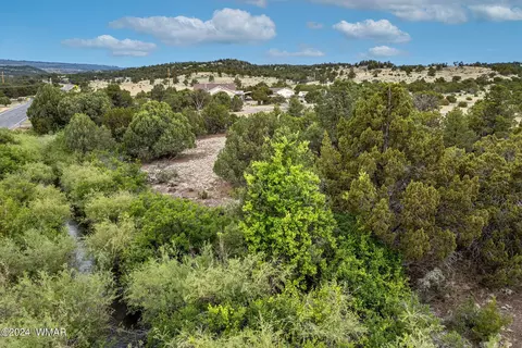 0 Hwy 261 357 Acres, Eagar, AZ 85925 photo 2