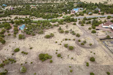 0 Hwy 261 357 Acres, Eagar, AZ 85925 photo 9