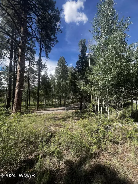 7 N1063, Greer, AZ 85927