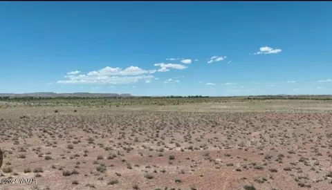 tbd Painted Desert Rnch, Holbrook, AZ 86025