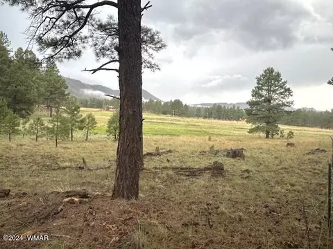 Tbd Cr 2115, Alpine, AZ 85920 photo 3