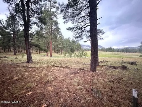 Tbd Cr 2115, Alpine, AZ 85920 photo 4