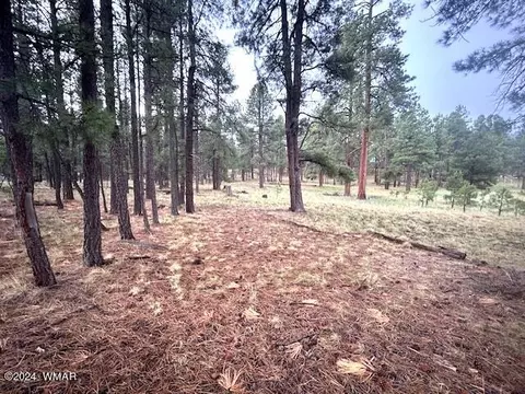 Tbd Cr 2115, Alpine, AZ 85920 photo 5