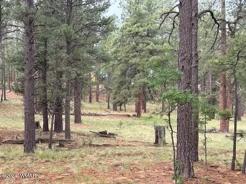 Tbd Cr 2115, Alpine, AZ 85920