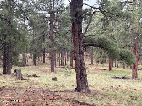 Tbd Cr 2115, Alpine, AZ 85920 photo 2