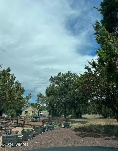 3 County Road N3311, Vernon, AZ 85940