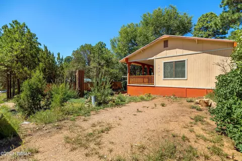 3490 Deer Track Trl, Overgaard, AZ 85933 photo 4