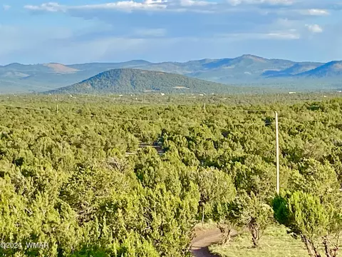 0 N3208 Lot B 918 Acres, Vernon, AZ 85940