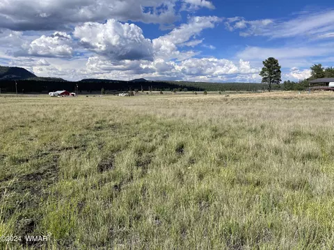 10 County Road 2110, Alpine, AZ 85920