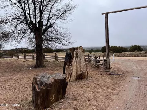 518 Pine Springs Rd, Sanders, AZ 86512
