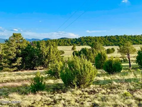 0 N3208 Lot D 981 Acres, Vernon, AZ 85940
