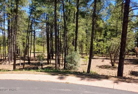 2580 Snowberry Loop, Show Low, AZ 85901