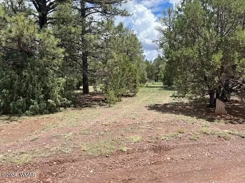 11 County Road 2021, Nutrioso, AZ 85932