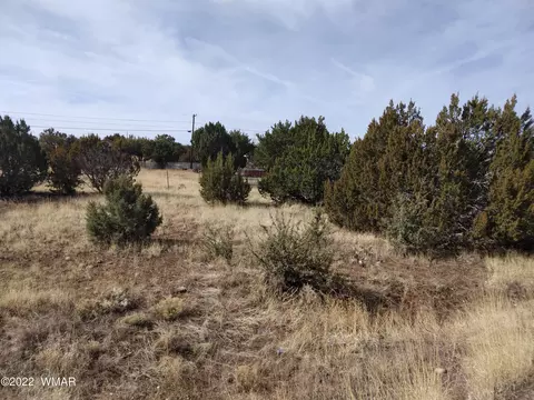 8509 Silver Creek Dr, Show Low, AZ 85901