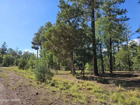 6964 Wagon Wheel Ln, Lakeside, AZ 85929