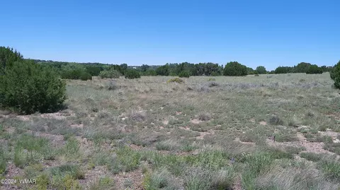 13 County Rd 5084 #272, Concho, AZ 85924
