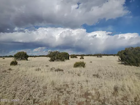 Tbd Cr 5110, Concho, AZ 85924