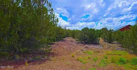 1903 Ponce Pl, Show Low, AZ 85901